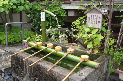 奈良　矢田寺の手水と沙羅双樹 photo