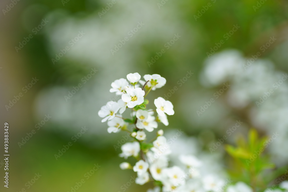 The weather is warming up.