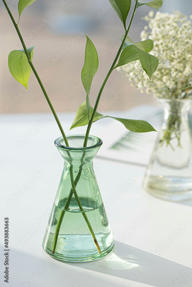 Ruscus Green in glass bottle Ruscus Green in glass bottle