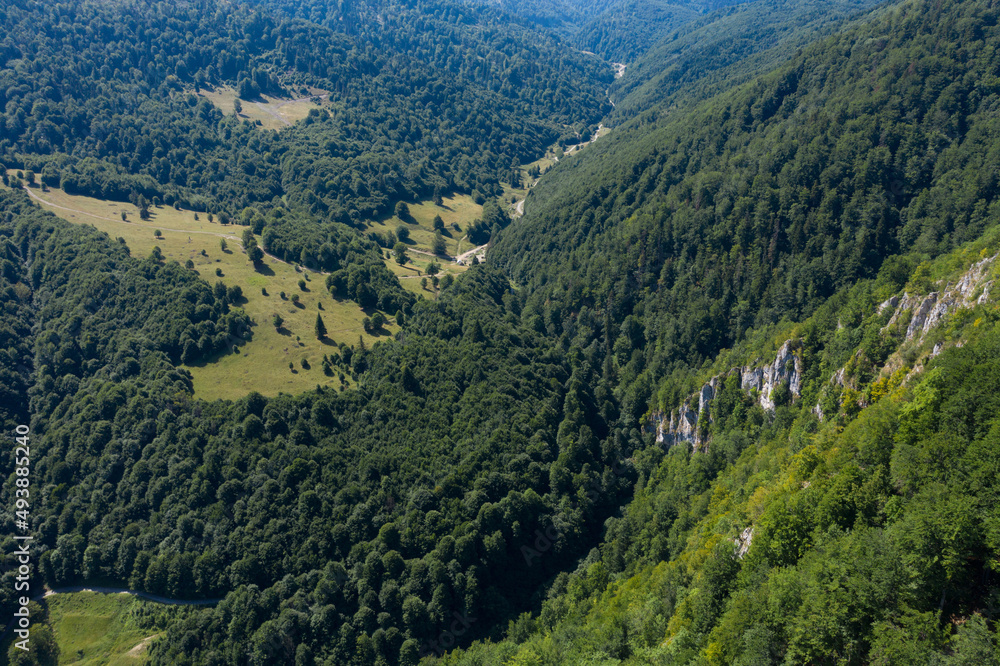 Flying above a deep valley and deciduous forest by drone