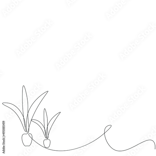 Plant in pot line draw vector illustration