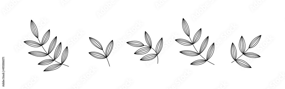 Botanic floral seamless brush with leaf. Hand draw border. Abstract leave background pattern. Botanical texture design for print, wall arts, and wallpaper. Vector illustration