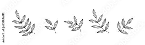 Fototapeta Naklejka Na Ścianę i Meble -  Botanic floral seamless brush with leaf. Hand draw border. Abstract leave background pattern. Botanical texture design for print, wall arts, and wallpaper. Vector illustration