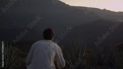 Guy looking over agave fields between the mountains of Tequila, Jalisco, Mexico. photo