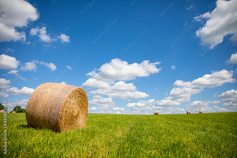 Meule de foin ou de paille dans un paysage de campagne après les moissons. Meule de foin ou de paille dans un paysage de campagne après les moissons.
