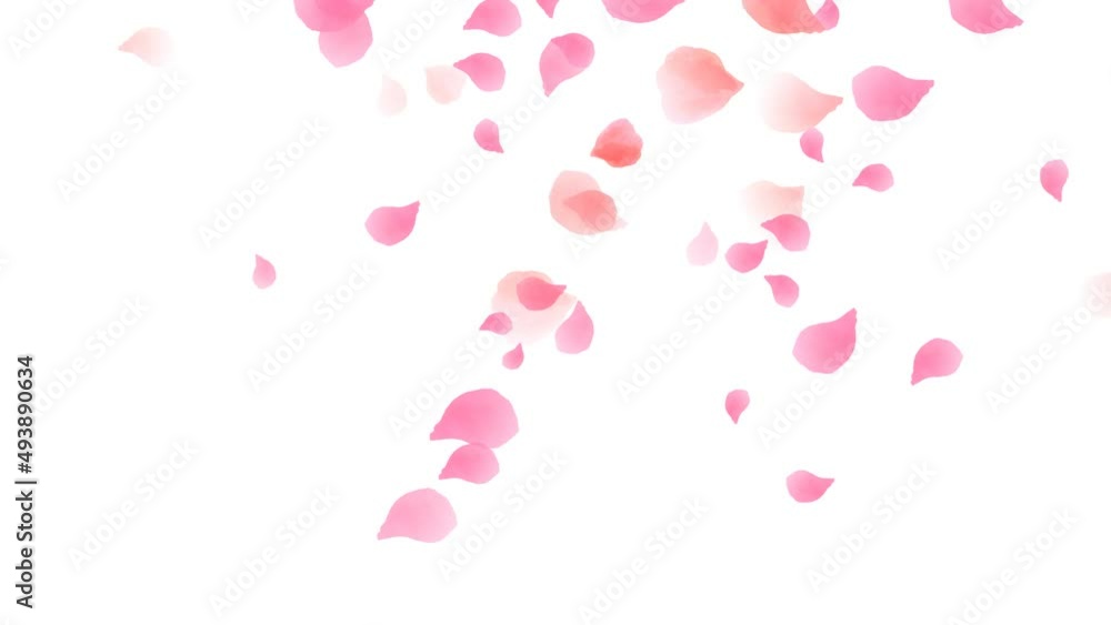 watercolor pink petals falling loop animation, alpha channel watercolor pink petals falling loop animation, alpha channel