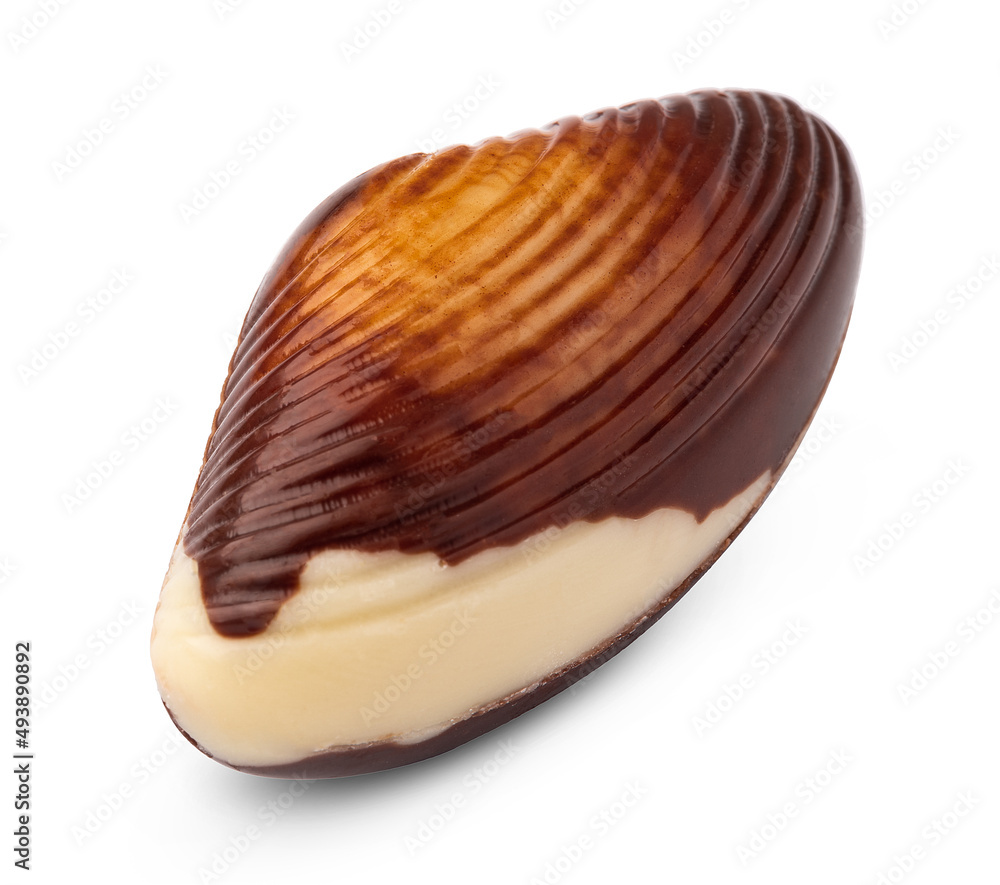 Chocolate sweets shaped as seashells isolated on white background