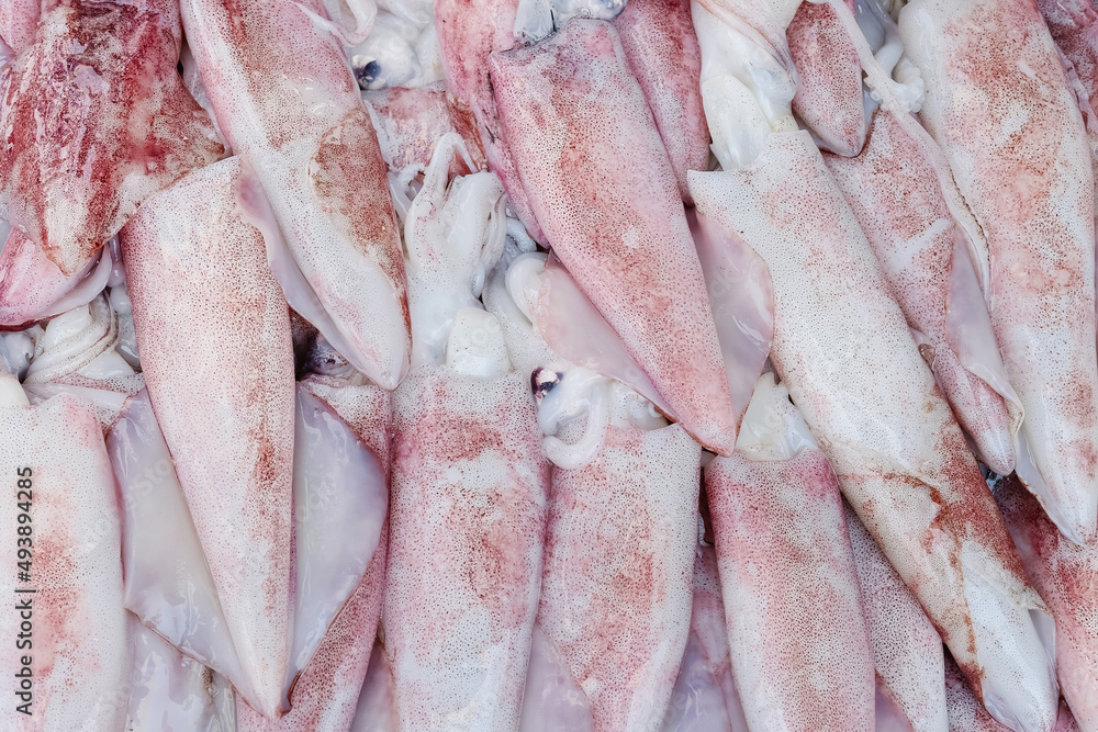 Fresh seafood. Raw squid in the market. Cuttlefish for cooking.