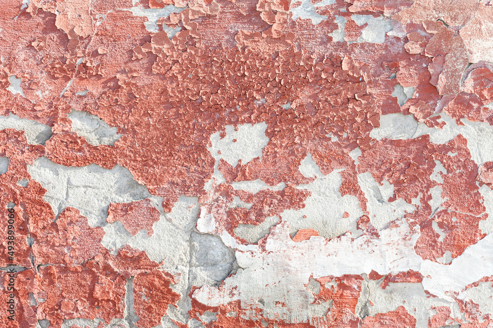 the pink old grunge wall texture background