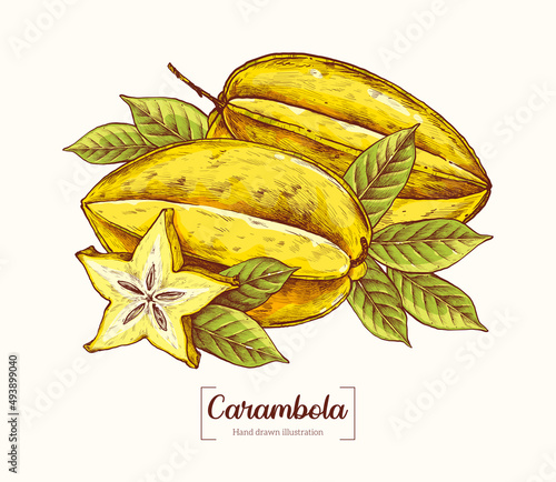 Carambola in vintage engraving style. . A slice of carambola. Exotic tropical fruit. Vector Hand Drawn. Sketch Botanical Illustration. Eco healthy food. Superfood.