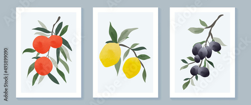 Abstract fruit wall art set. Collection of minimal line art with yellow lemon, oranges, citrus, branches. Summer season watercolor design perfect for decoration, interior, background, wallpaper.
