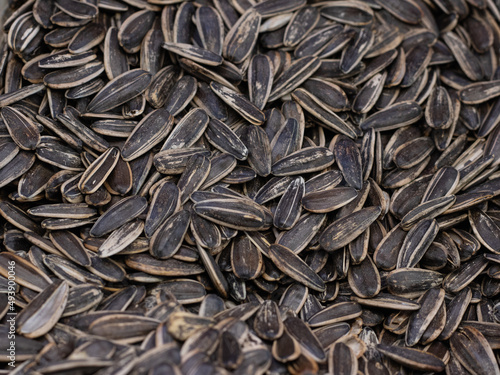 sunflower seed in the stall, sunflower seed, close up 