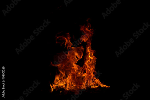 The fire, burning flame. Large burning flaming fire. © Volodymyr
