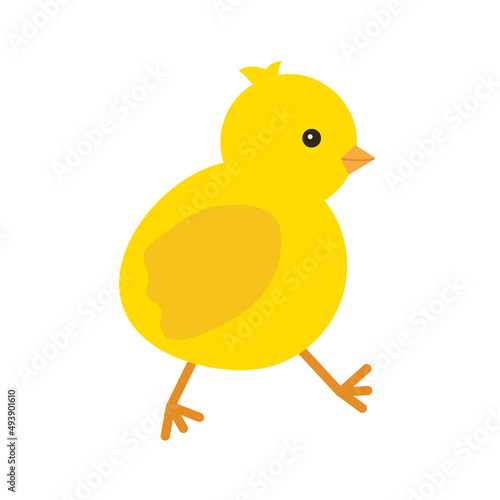 Cute yellow baby chicken for easter design. Little yellow cartoon chick. Vector illustration isolated on white background