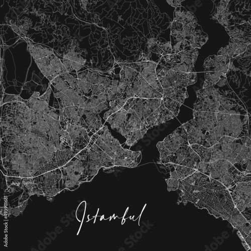 Black and white vector city map of Istanbul. Stock vector illustration isolated on black background.