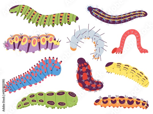 Spring caterpillars. Cartoon insect caterpillar, cute garden and forest wildlife animal. Doodle summer centipede, funny baby lavra decent vector set
