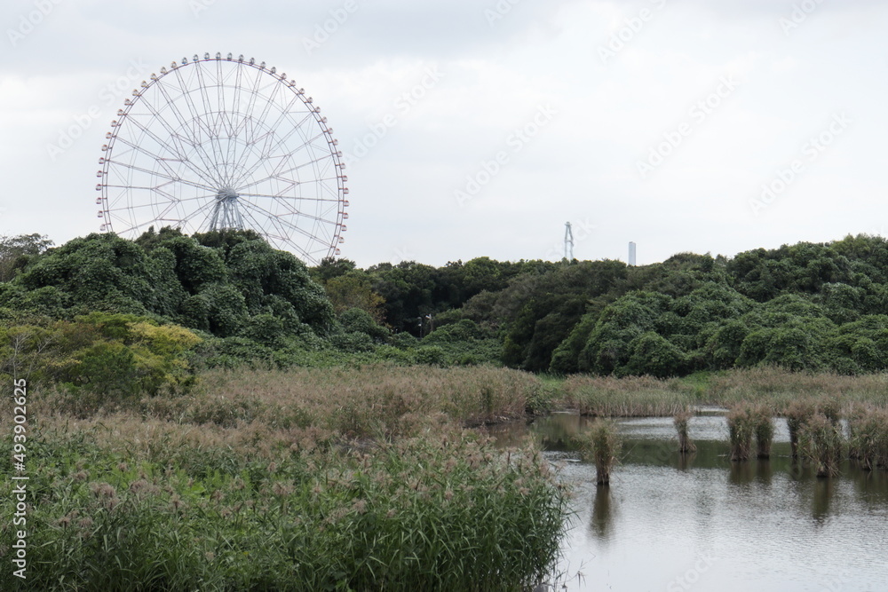 郊外の森と観覧車の風景