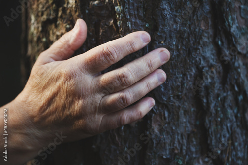 Senior woman's hand touching old tree bark, love and care nature, World environment day © zakalinka