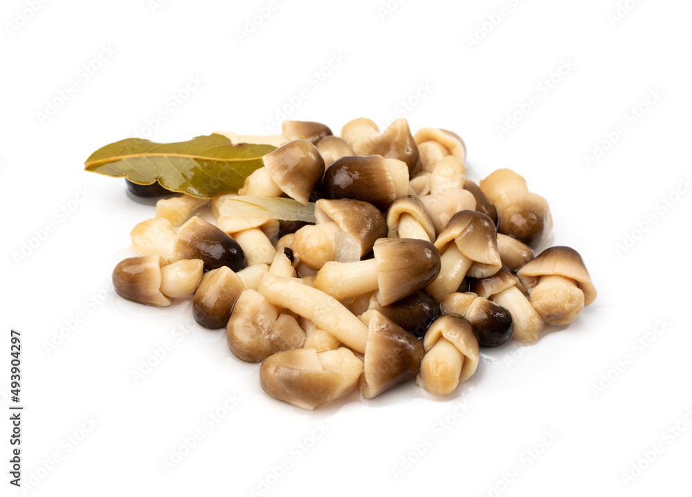 Pickled Straw Mushrooms Isolated