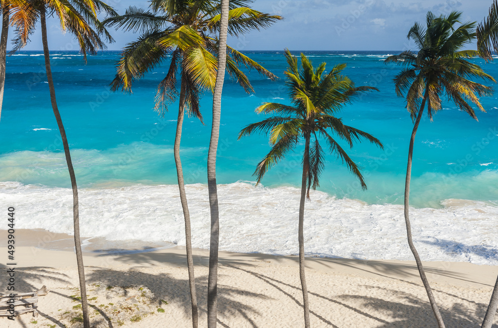 Fototapeta premium Bottom Bay beach