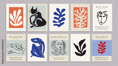 Matisse Abstract Art Set, Aesthetic Modern Art, Boho Decor, Minimalist Art, Illustration, Vector, Poster, Postcard. Collection for decoration. Vector all isolated. Set of abstract trendy creative art.