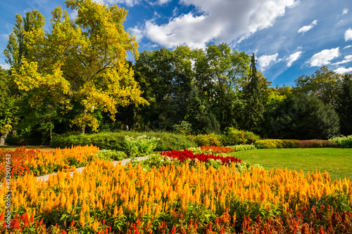 Photography View of city park in Budapest, Hungary