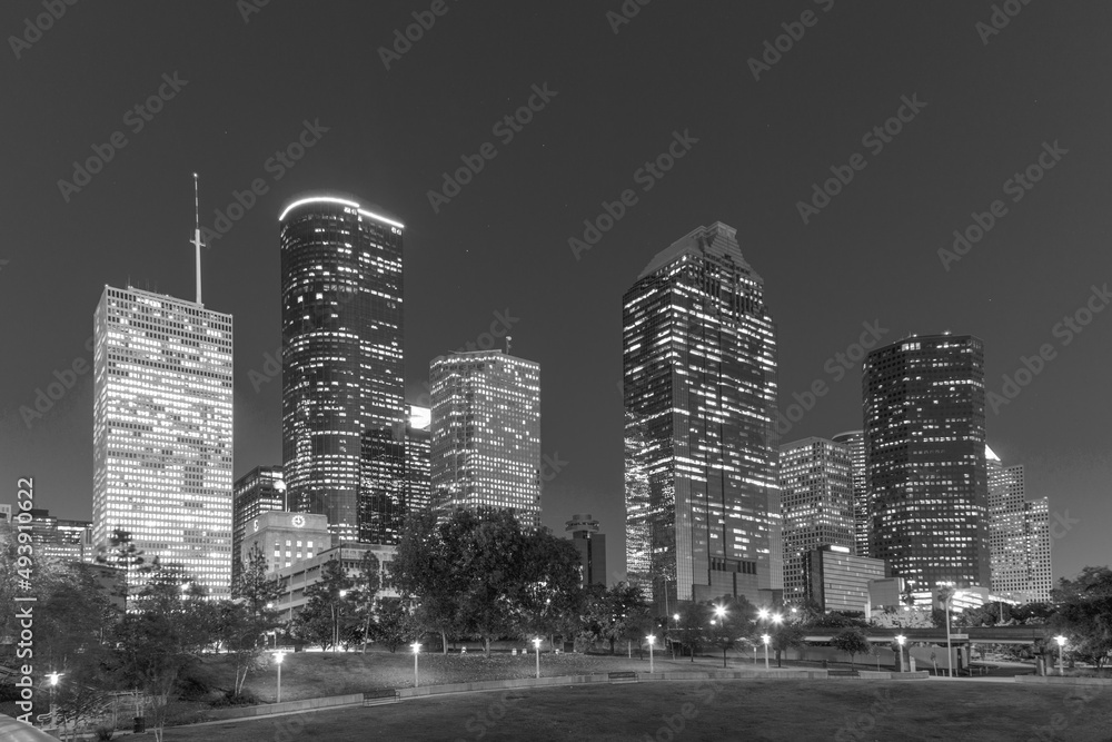 Fototapeta premium View on downtown Houston by night