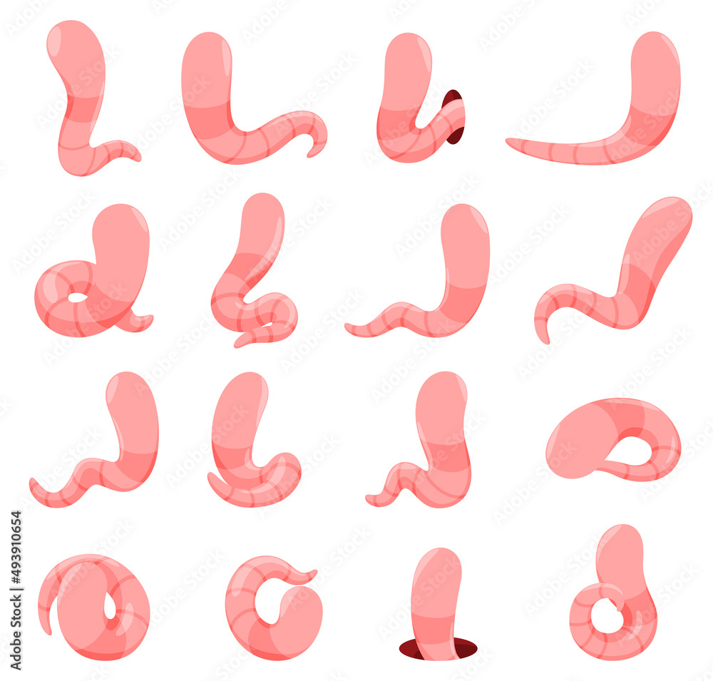 Minimalist simple faceless pink worms set vector flat illustration cartoon funny earthworm Minimalist simple faceless pink worms set vector flat illustration cartoon funny earthworm