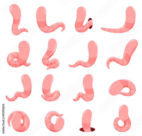 Minimalist simple faceless pink worms set vector flat illustration cartoon funny earthworm