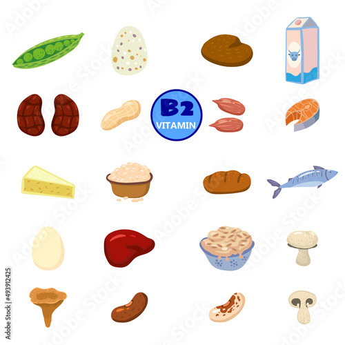 Set of Vitamin B2 origin natural sources. Healthy diary rich food containing riboflavin, cheese, mushrooms, nuts, fish. Organic diet products, natural nutrition collection. Vector flat cartoon