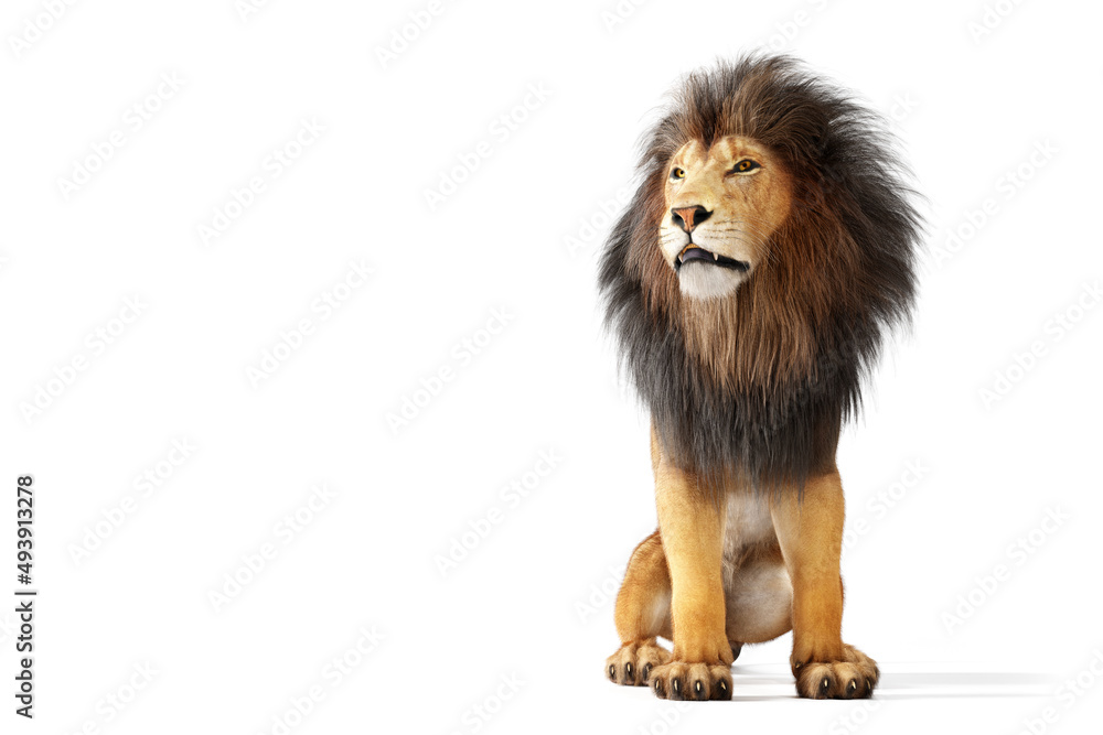 Obraz premium Lion portrait isolated on white