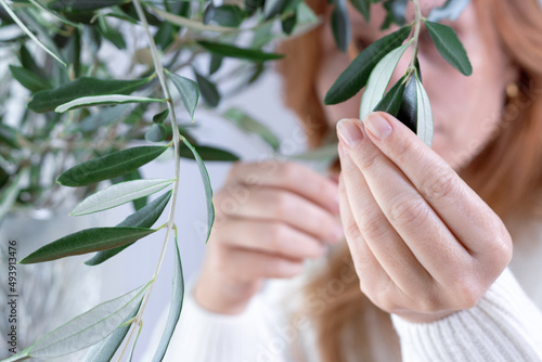 Closeup of a womans hand that touches an olive branch. Healthy lifestyle, The concept of womens .