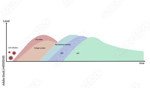 The diagram of biomarker level ( RNA, Antigen protein, Neutralizing antibody, IgM and IgG) and response time after viral infection for laboratory detection and diagnostics