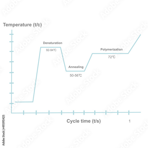 The polymerase chain reaction (PCR) graph that shown the correlation between temperature and cycle time of each step : Denaturation, Annealing and Polymerization