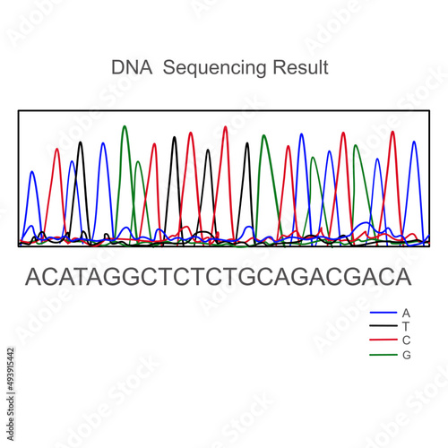 The analytical picture of DNA sequencing for detection the Genome sequencing of unknown sample use for research or diagnosis.