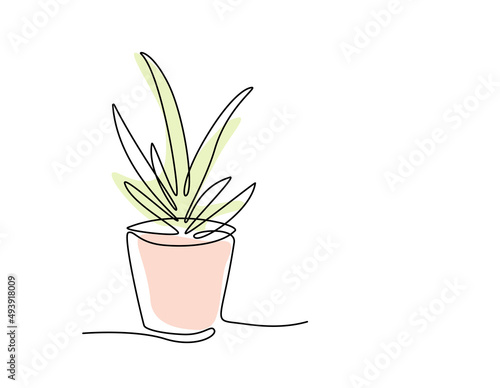 One line drawing of House plant in pot with color shapes. Continuous line handdrawn of Beautiful flower Isolated. Minimalist Vector illustration of tree. Editable stroke