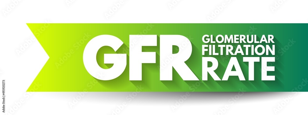 GFR Glomerular Filtration Rate - blood test that checks how well your kidneys are working, acronym text concept background GFR Glomerular Filtration Rate - blood test that checks how well your kidneys are working, acronym text concept background