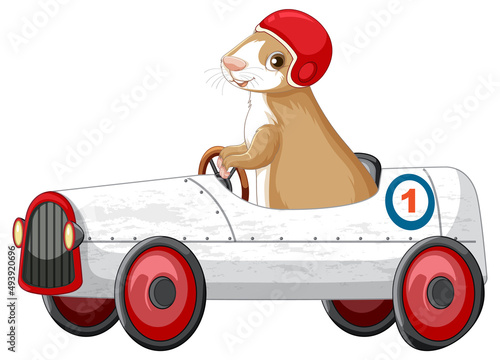 Guinea pig driving car toy cartoon