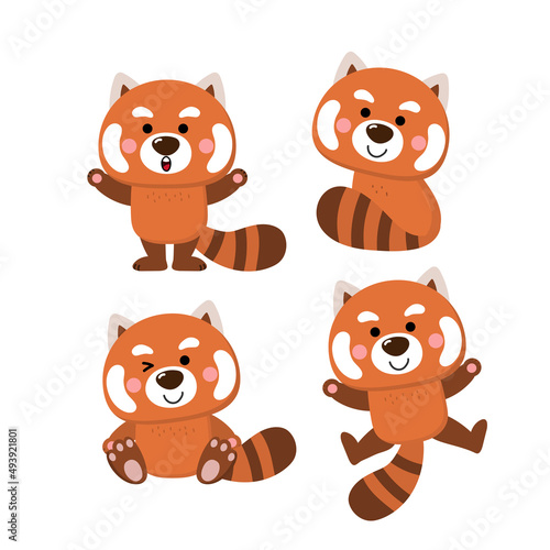 cute red panda set. Animal wildlife cartoon character. -vector