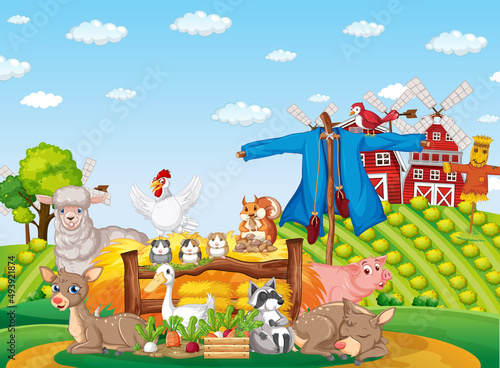 Farm scene many animals in the field