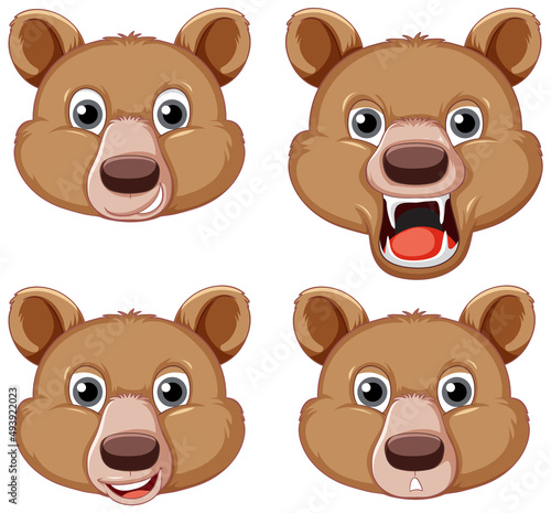 A set of big brown bear on white background