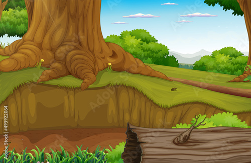 Nature scene with many trees