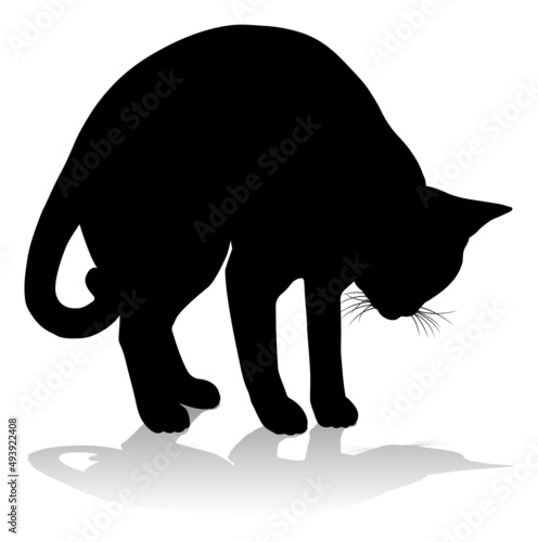 Silhouette Cat Pet Animal