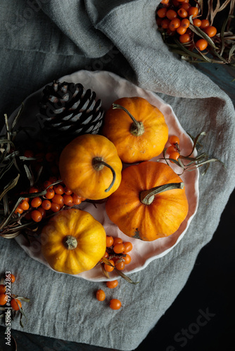 Small pumpkins with sea-buckthorn and cones