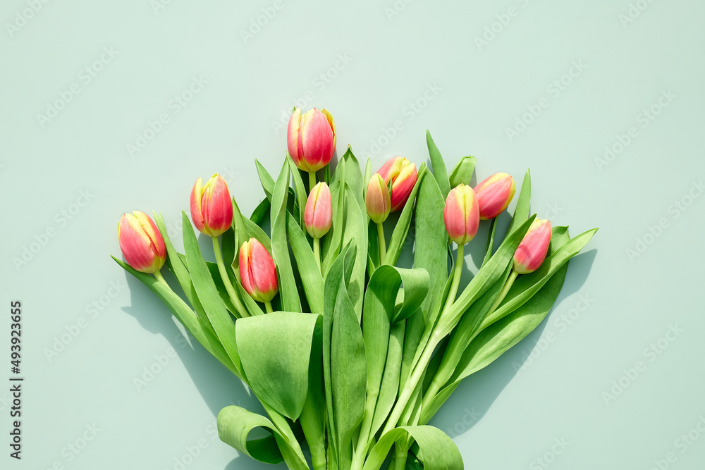 Tulips on green pastel background. Minimal festive floral concept with space for text for Women's day, March 8, Mother's day, Easter, Wedding and other celebration. Spring background. Tulips on green pastel background. Minimal festive floral concept with space for text for Women's day, March 8, Mother's day, Easter, Wedding and other celebration. Spring background.