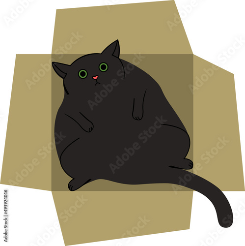 Fat black cat in box funny illustration