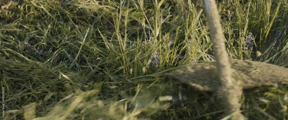 Female gardener woman mowing grass spring evening portrait close up Female gardener woman mowing grass spring evening portrait close up