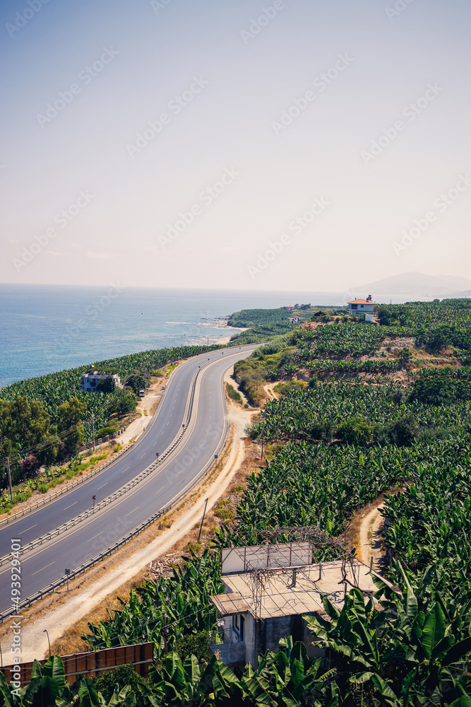 Nice view of the trees and the road that stretches along the Mediterranean Sea. Seascape