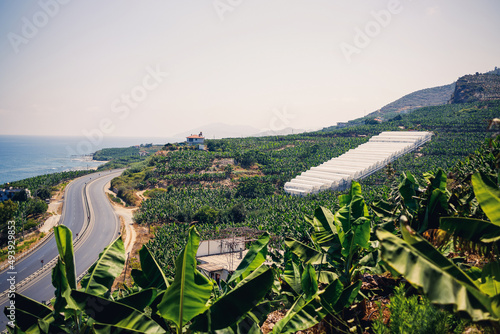 Nice view of the trees and the road that stretches along the Mediterranean Sea. Seascape