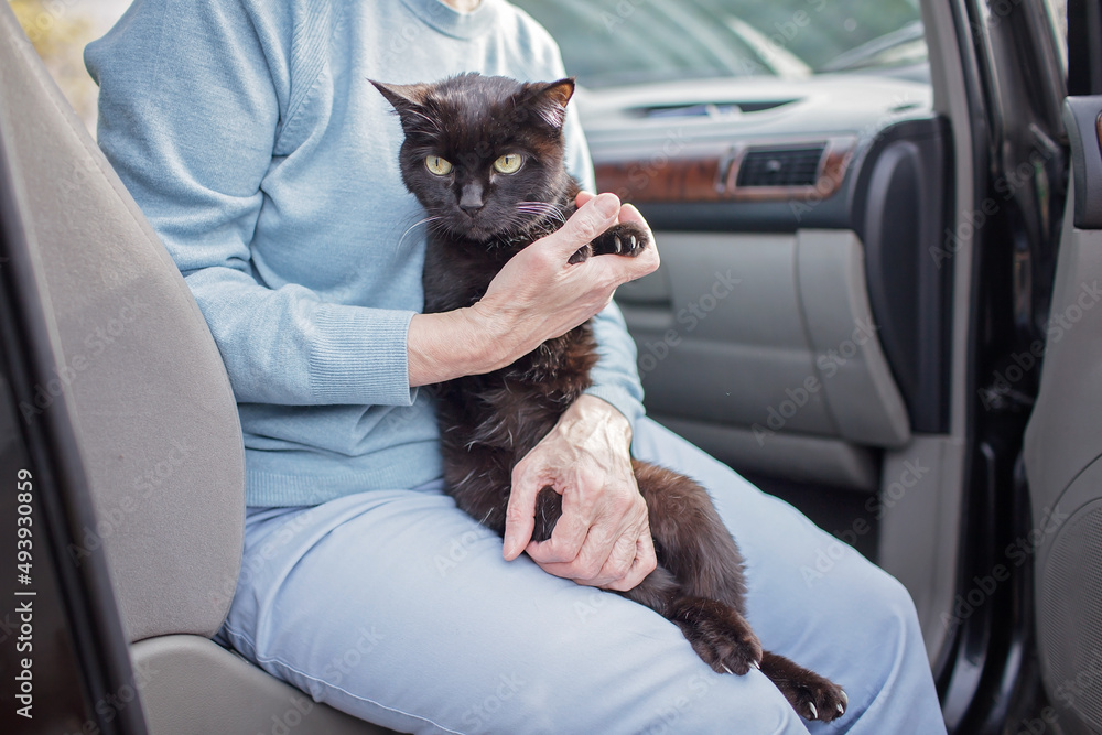 Family of Ukrainian refugees, seniors, woman and kids, fleeing from war against Russia and cross the board by car together with pet. World terrorism and war. Volunteering and helping hand Family of Ukrainian refugees, seniors, woman and kids, fleeing from war against Russia and cross the board by car together with pet. World terrorism and war. Volunteering and helping hand